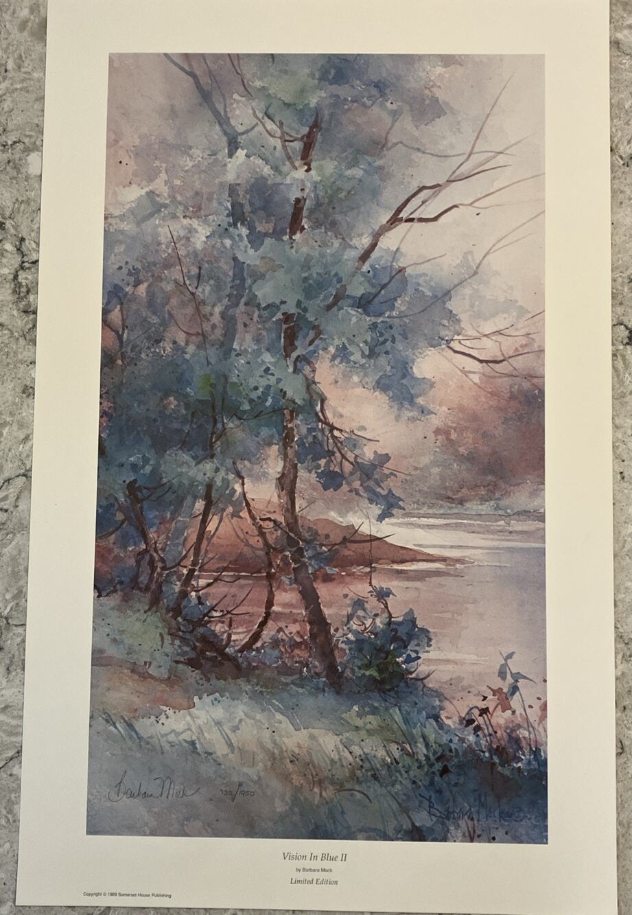 Barbara Mock Signed LTD ED 730/1950 Visions In Blue II 24 1/2 X 15 1/2 Unframed